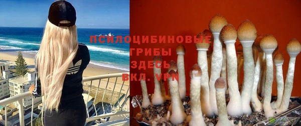мдма Лагань