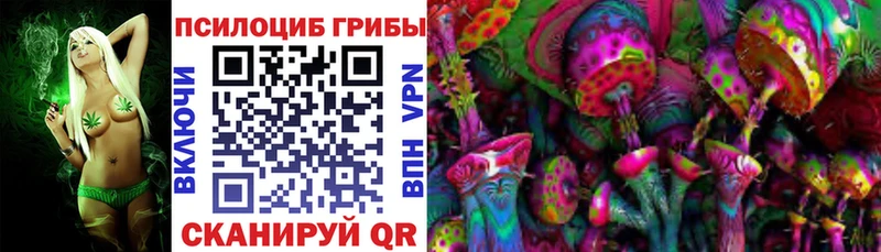 Купить закладки  Сортавала  Псилоцибиновые грибы прущие грибы 